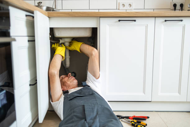 Best Sewer Line Repair  in Lecanto, FL