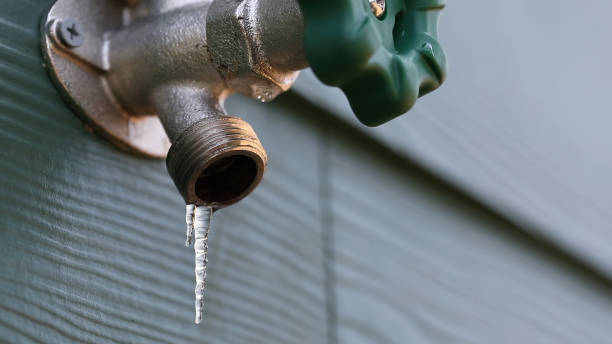 Best Clogged Drain Plumber  in Lecanto, FL