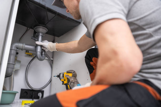 Best Emergency Plumber  in Lecanto, FL